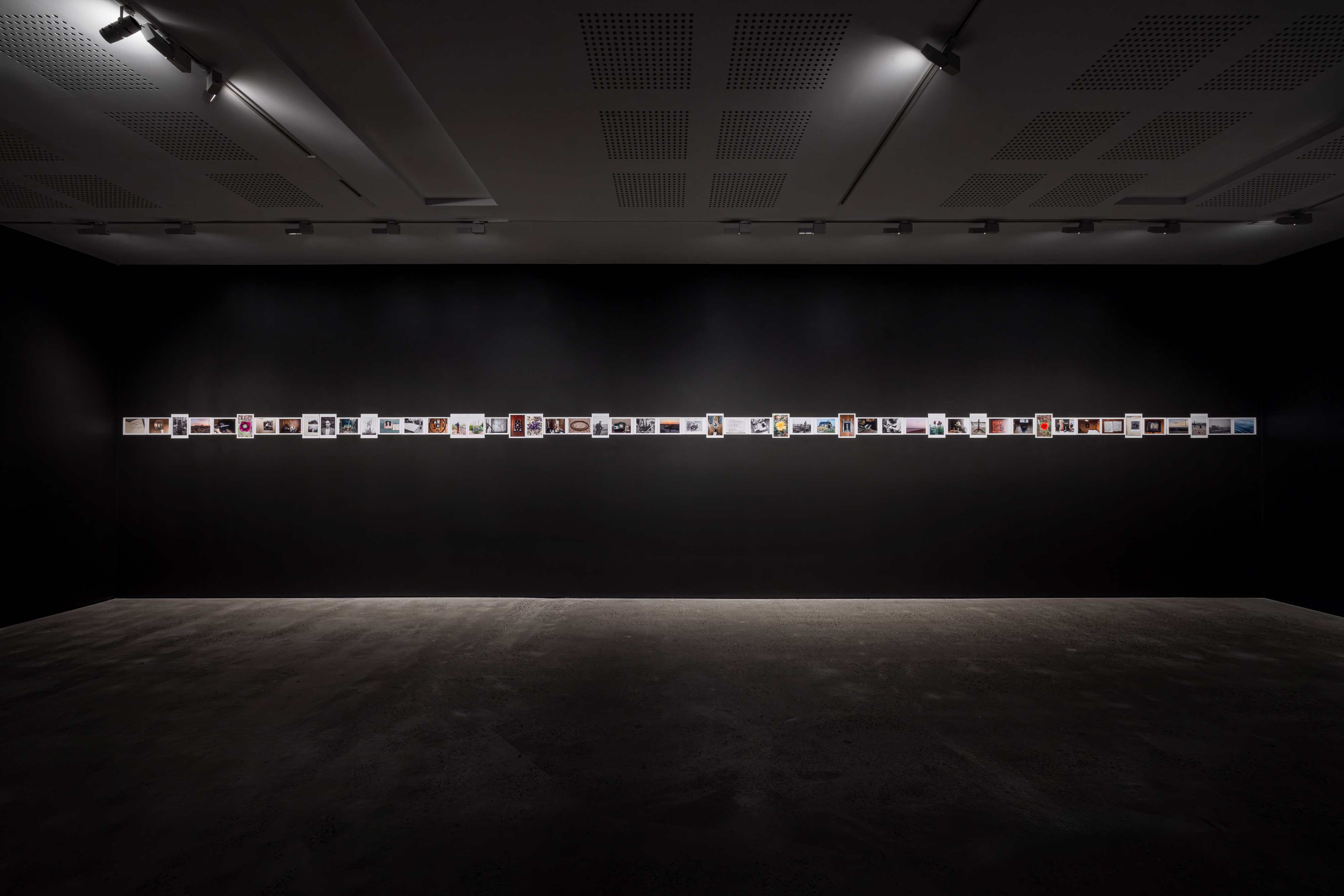 Installation view, 'Derek Jarman: Delphinium Days', 2025