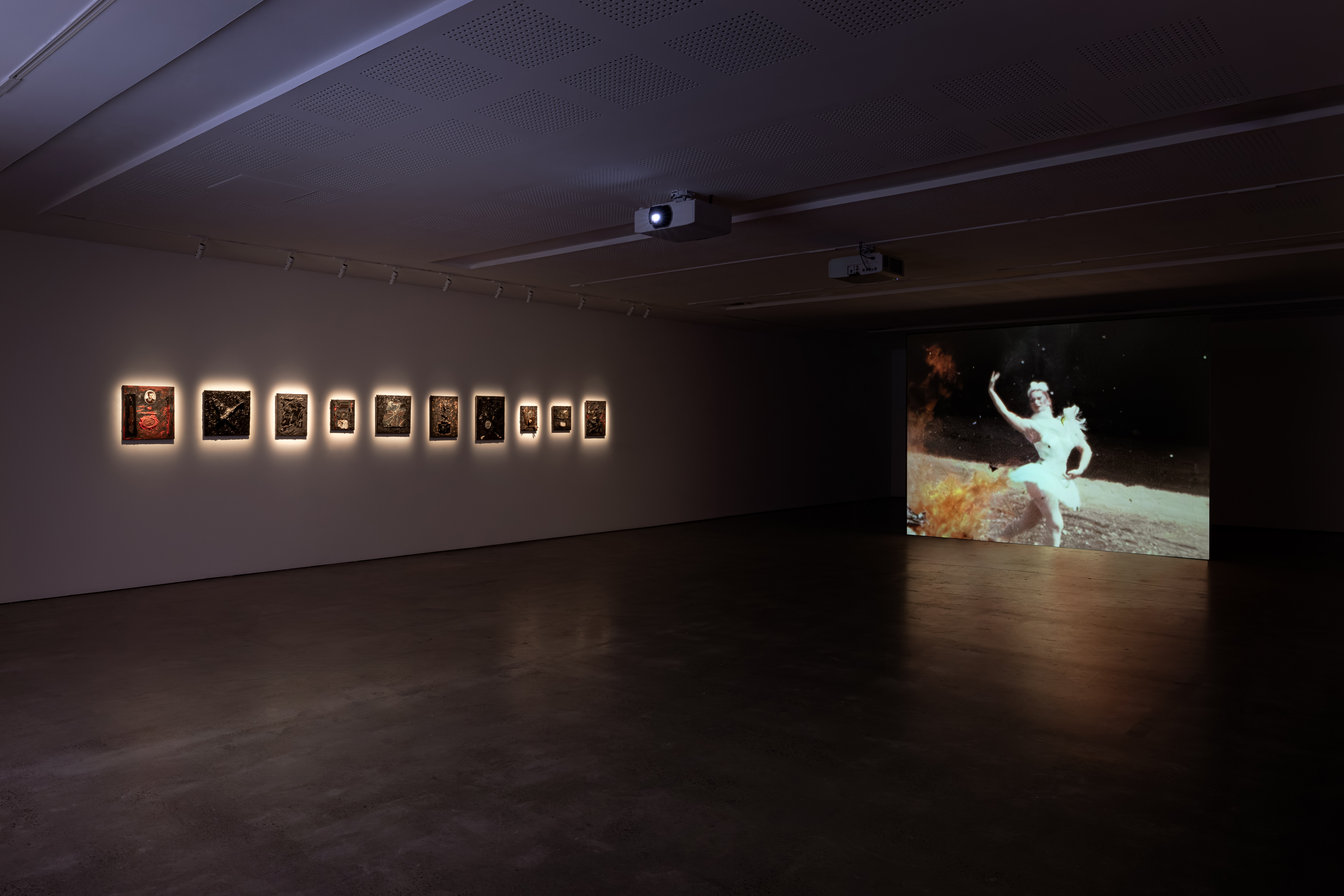 Installation view, 'Derek Jarman: Delphinium Days', 2025