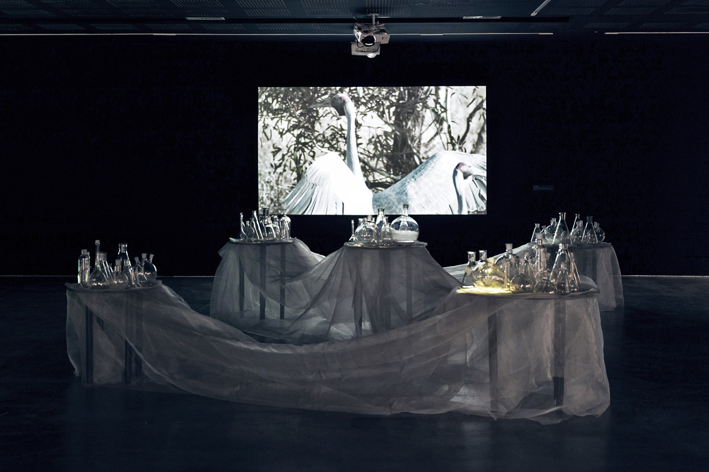 ​​​​​​​Installation view of various glassware placed on various height tables.
