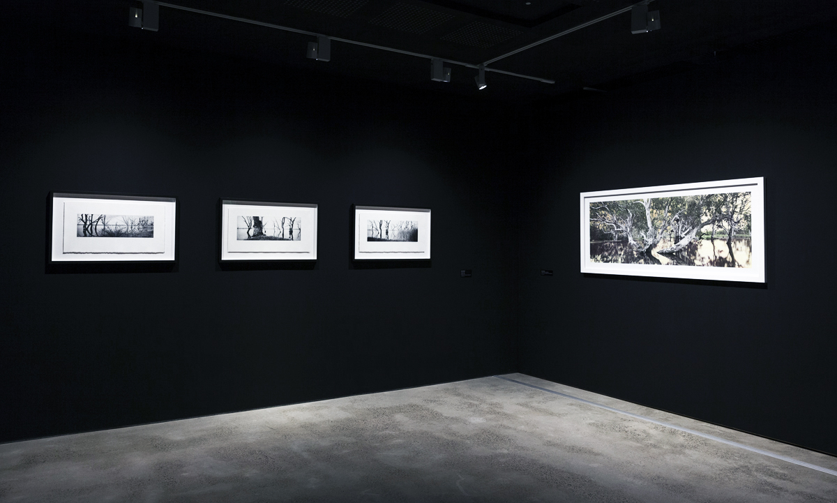 ​​​​​​​Installation view of four photographs each depicting various landscape scenes. 