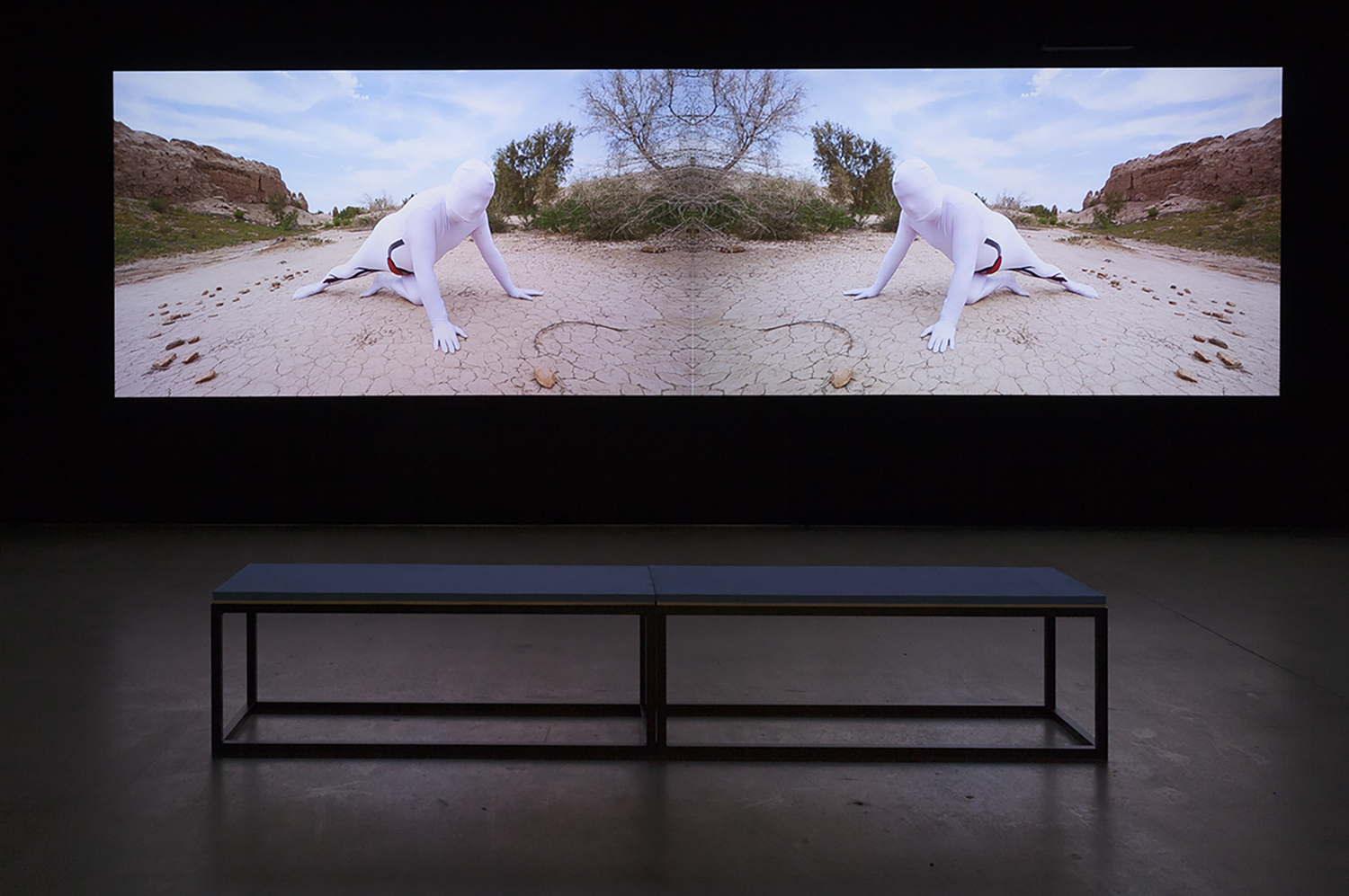Installation view