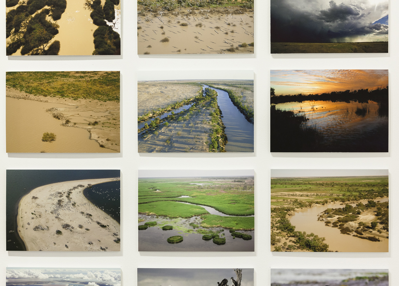 ​​​​​​​Installation view of twelve individual landscape scenes. 