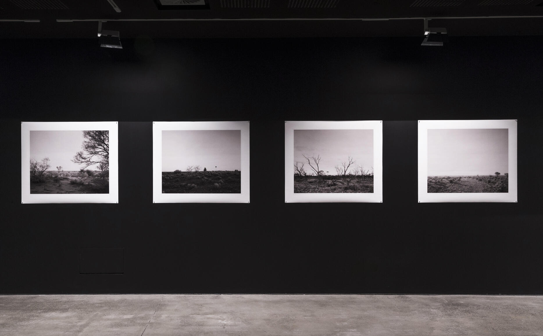 Installation view of four landscape artworks mounted on a black wall. 