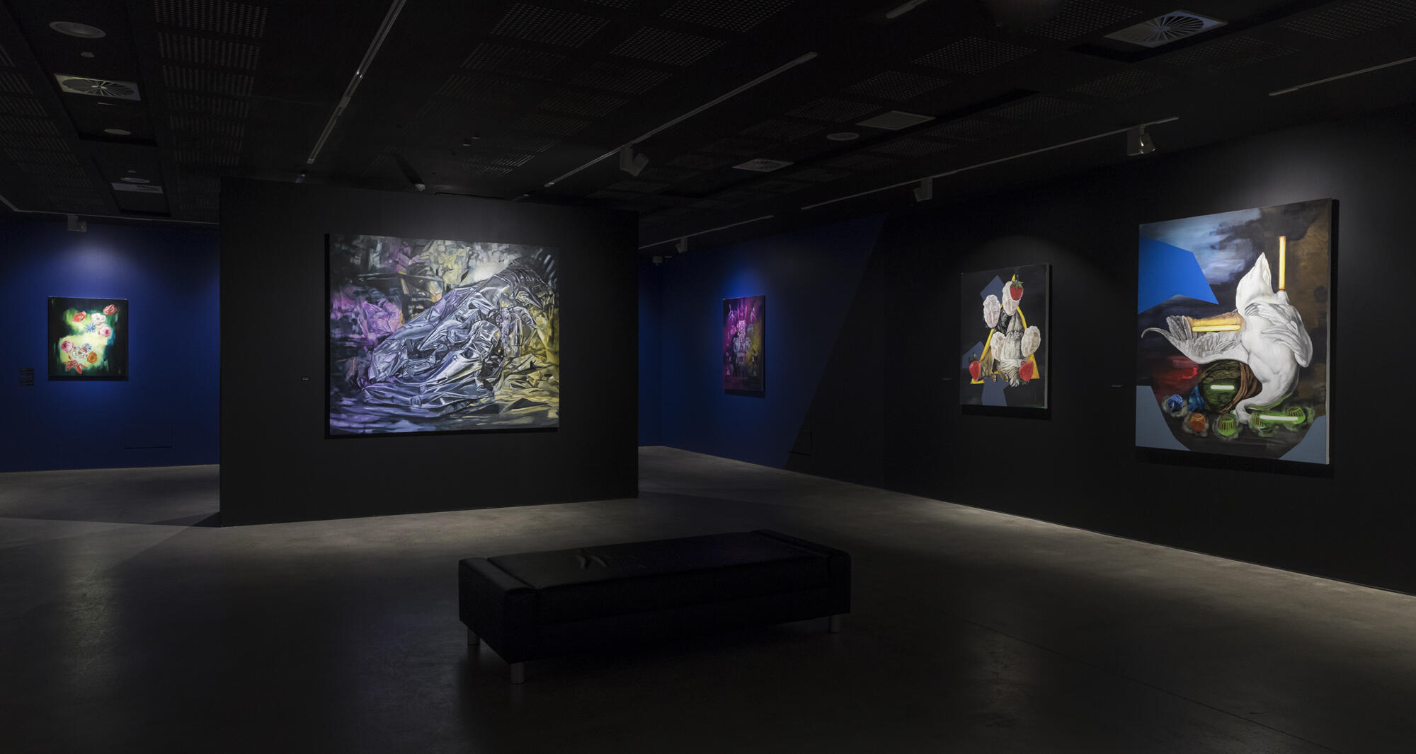 Installation view of five artworks
