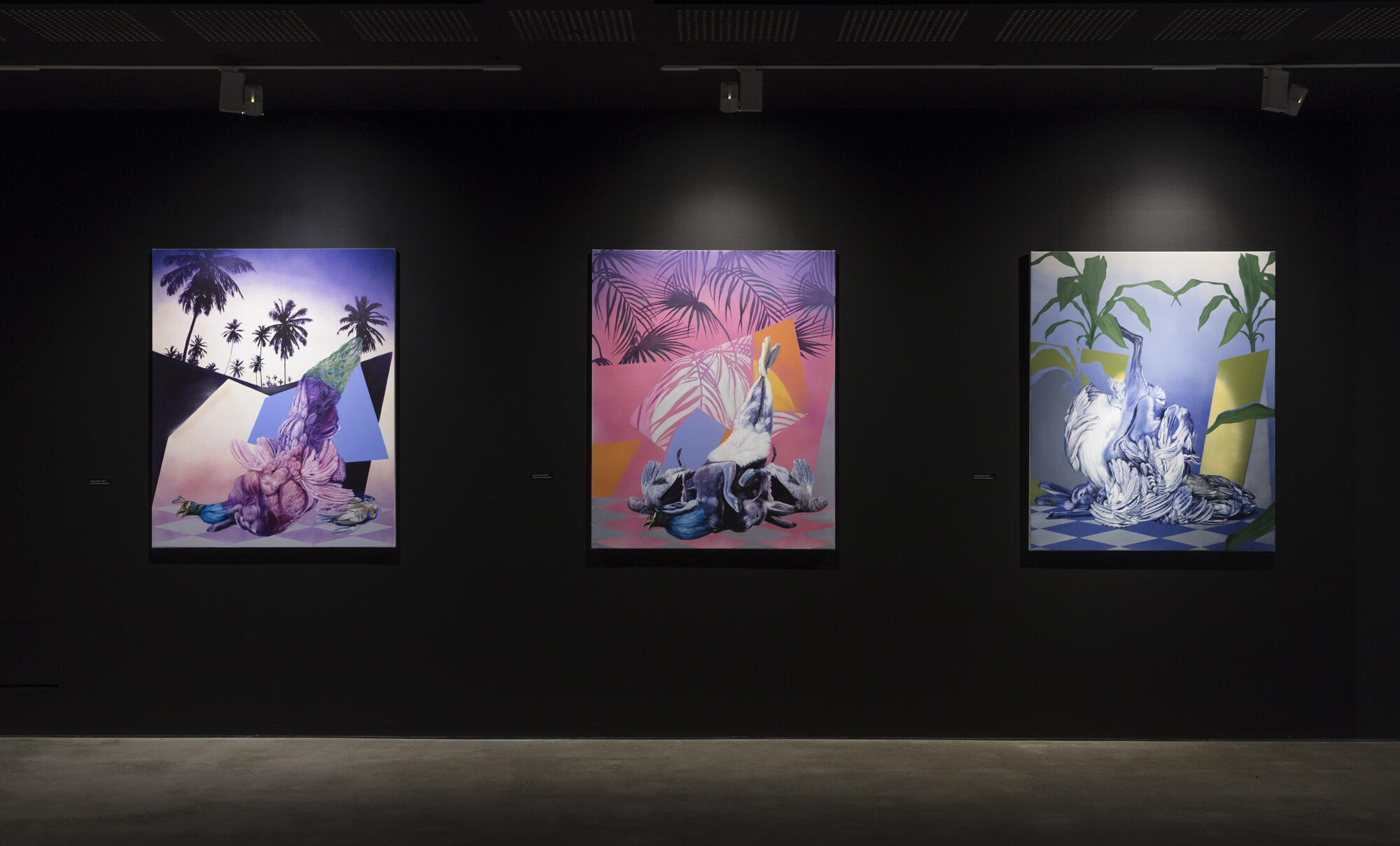 Installation view of three artworks mounted on a wall by Monika Behrens titled 'Hunting Trophies' 2017.