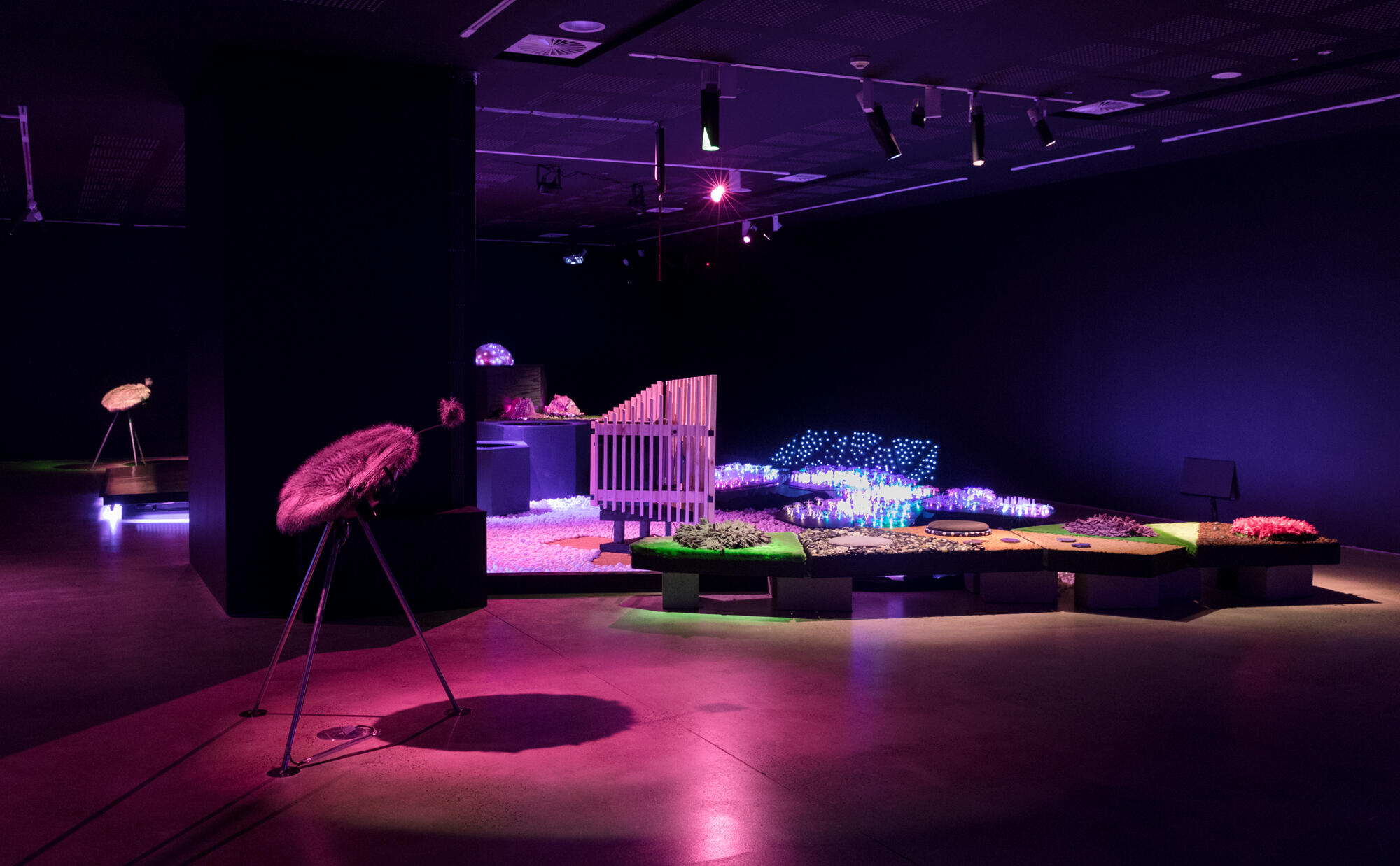 Installation view, 'The Big Anxiety', UNSW Galleries, 2017.