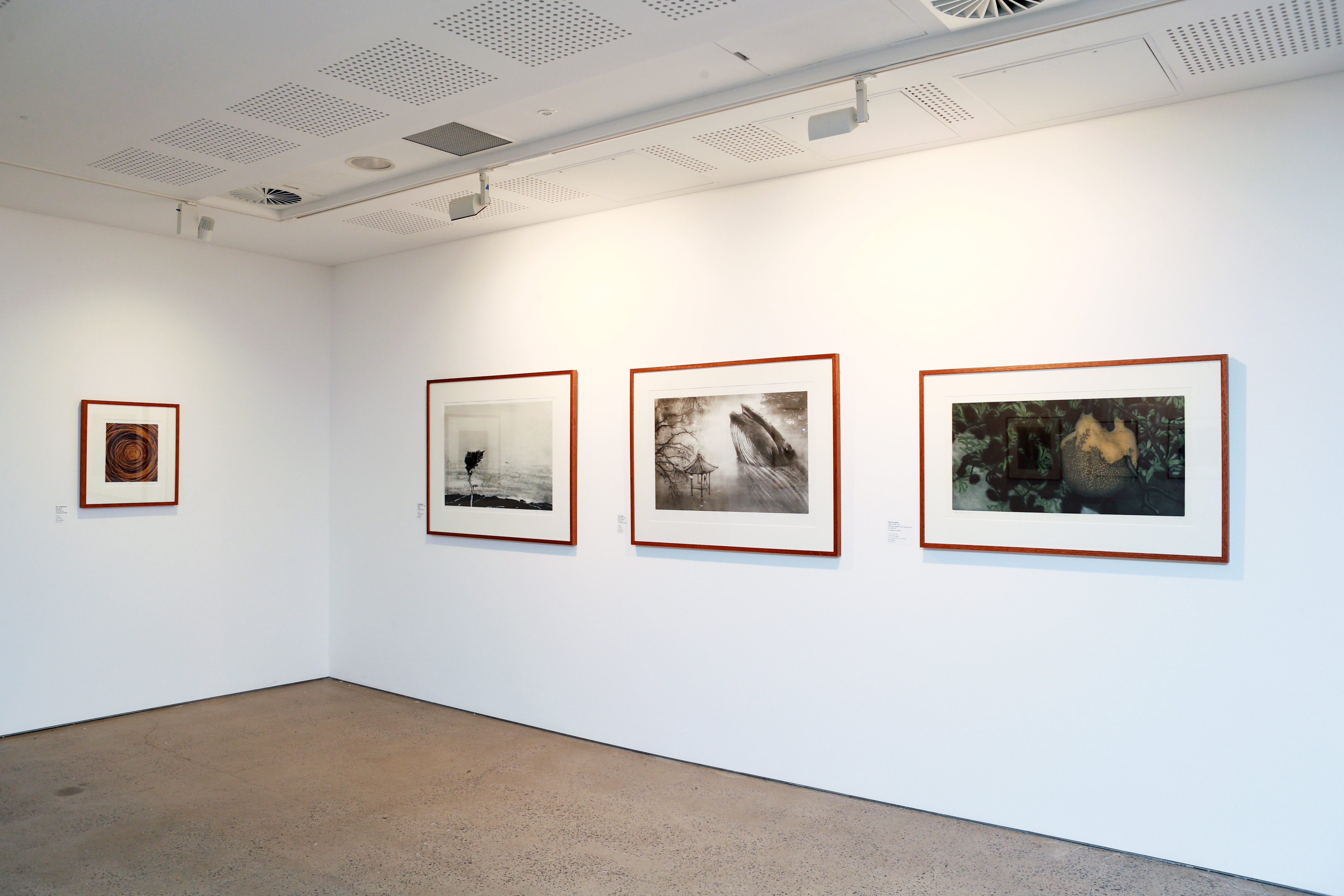 Installation view, 'Seoul – Sydney: Contemporary Korean and Australian Prints', UNSW Galleries, 2014. Photograph: Britta Campion.