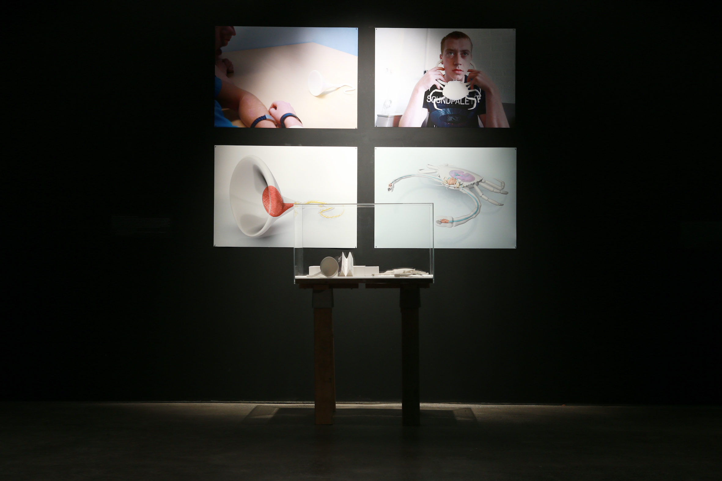 Susana Cámara Leret, Kindred Spirits 2013. Installation view, 'Feral Experimental: New Design Thinking', UNSW Galleries, 2014. Photograph: Britta Campion