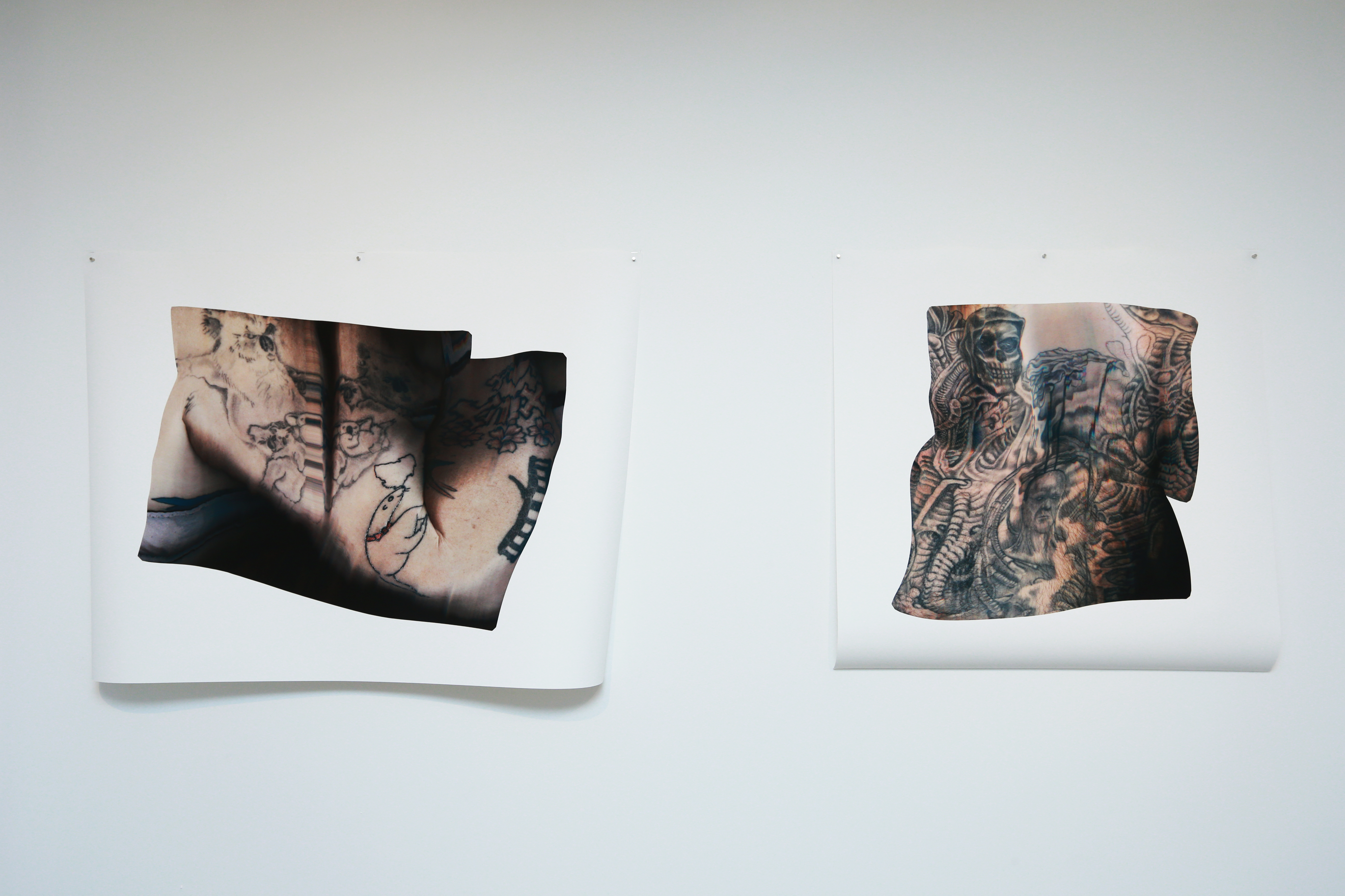 Alison Bennett, Koala and Persona, 2014. Installation view, 'Quo Vadis: The Last Drawing Show', UNSW Galleries, 2014. Photograph: Britta Campion