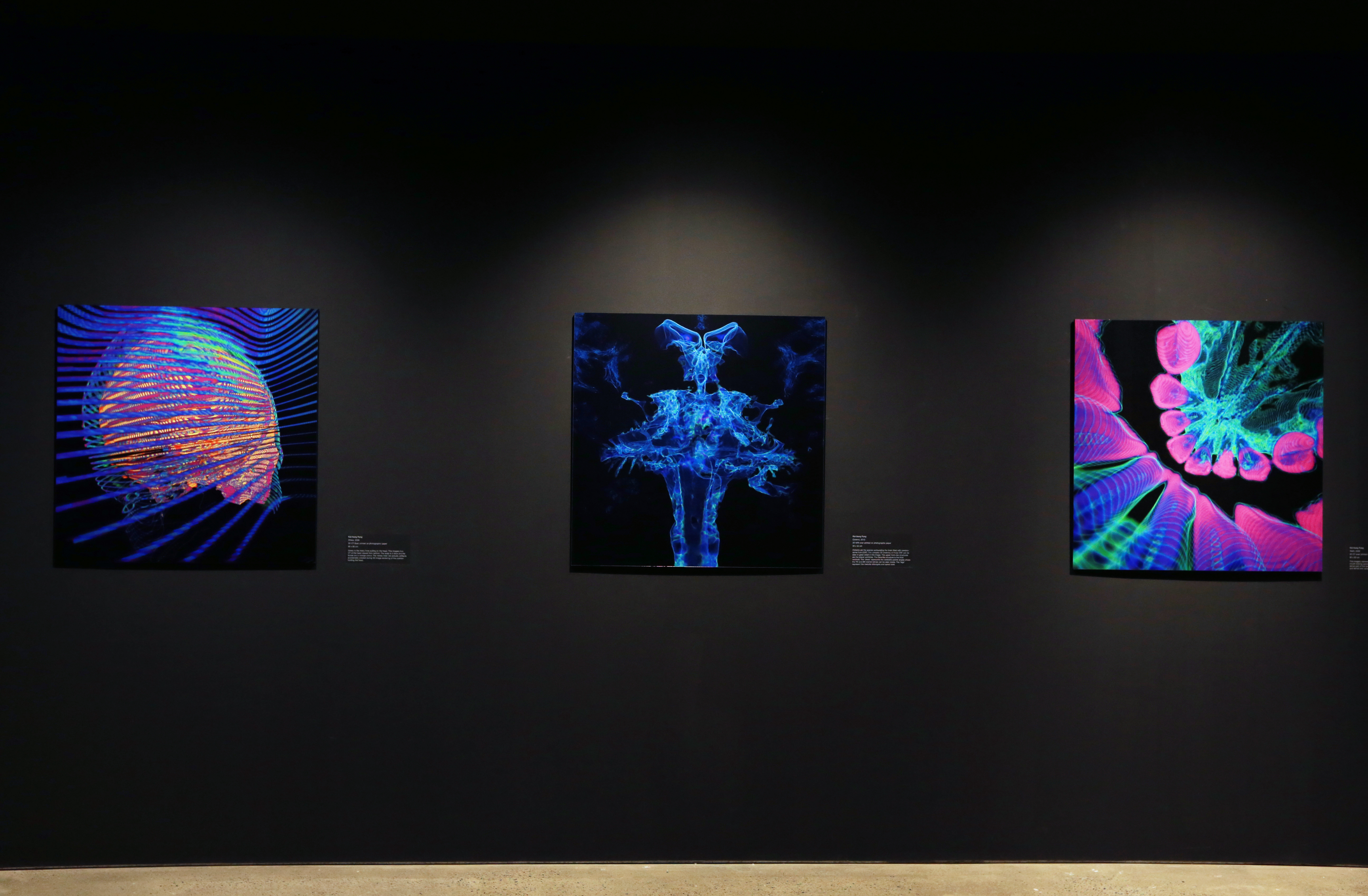 Kai-Hung Fung, Stress 2009, Cisterns 2013 and Teeth 2009. Installation view, 'Body Image', UNSW Galleries, 2014. Photograph: Britta Campion