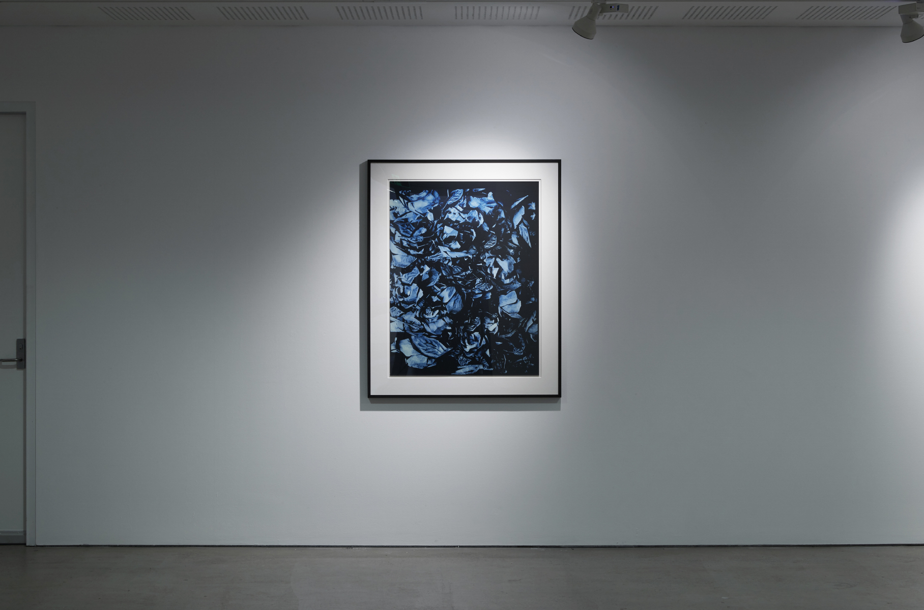 Installation view, Nicholas Aloisio-Shearer