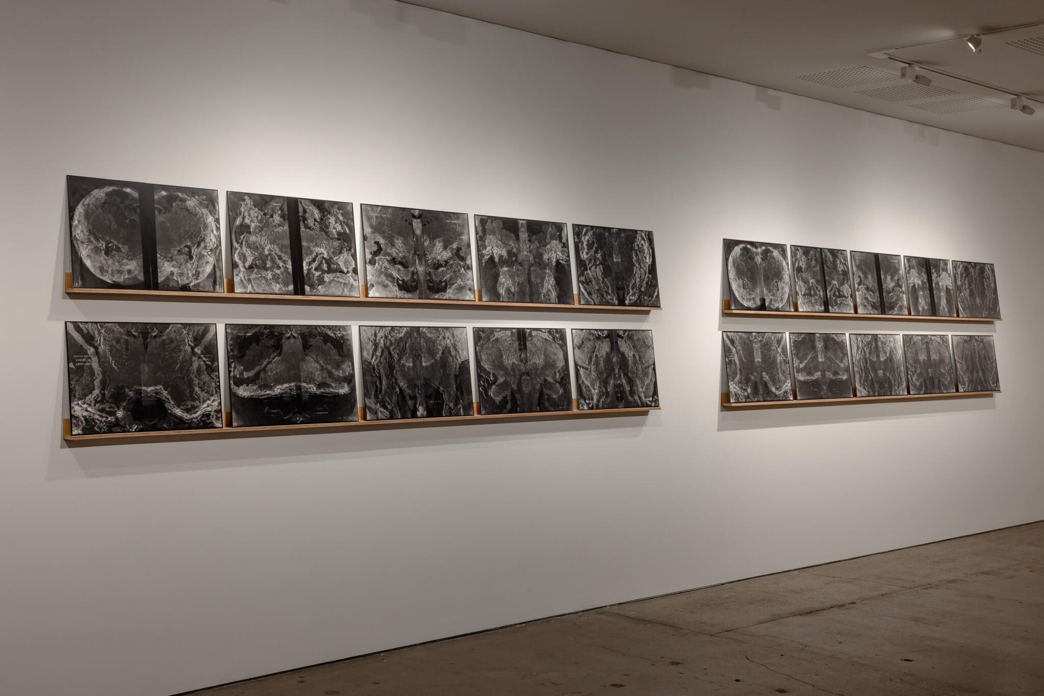 Image courtesy: the artist and Gallery Sally Dan-Cuthbert, Sydney Install Images: Installation view, 'Izabela Pluta: Nihilartikel', UNSW Galleries, Sydney, 2022. Photography: Jacquie Manning.