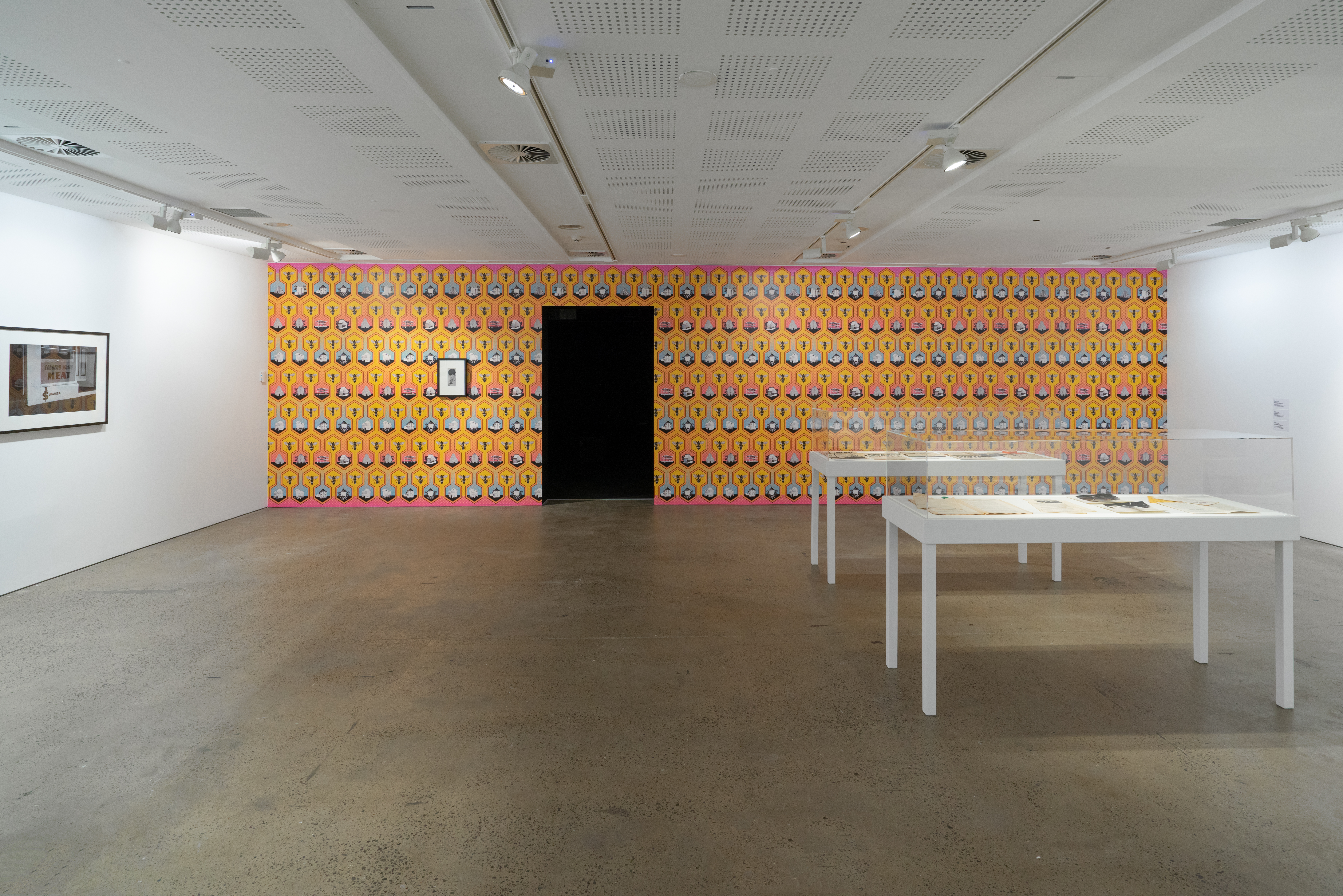 Zanny Begg, The Beehive 2018. Installation view, UNSW Galleries, 2019. Photograph: Campbell Henderson 