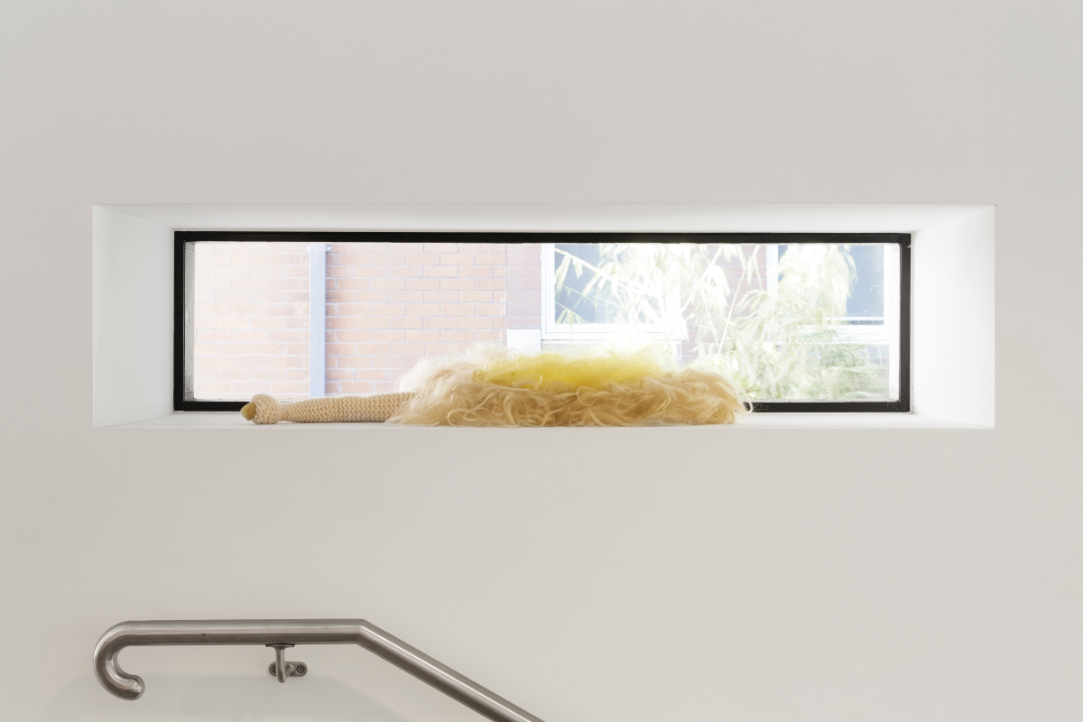 Installation view, Debra Porch