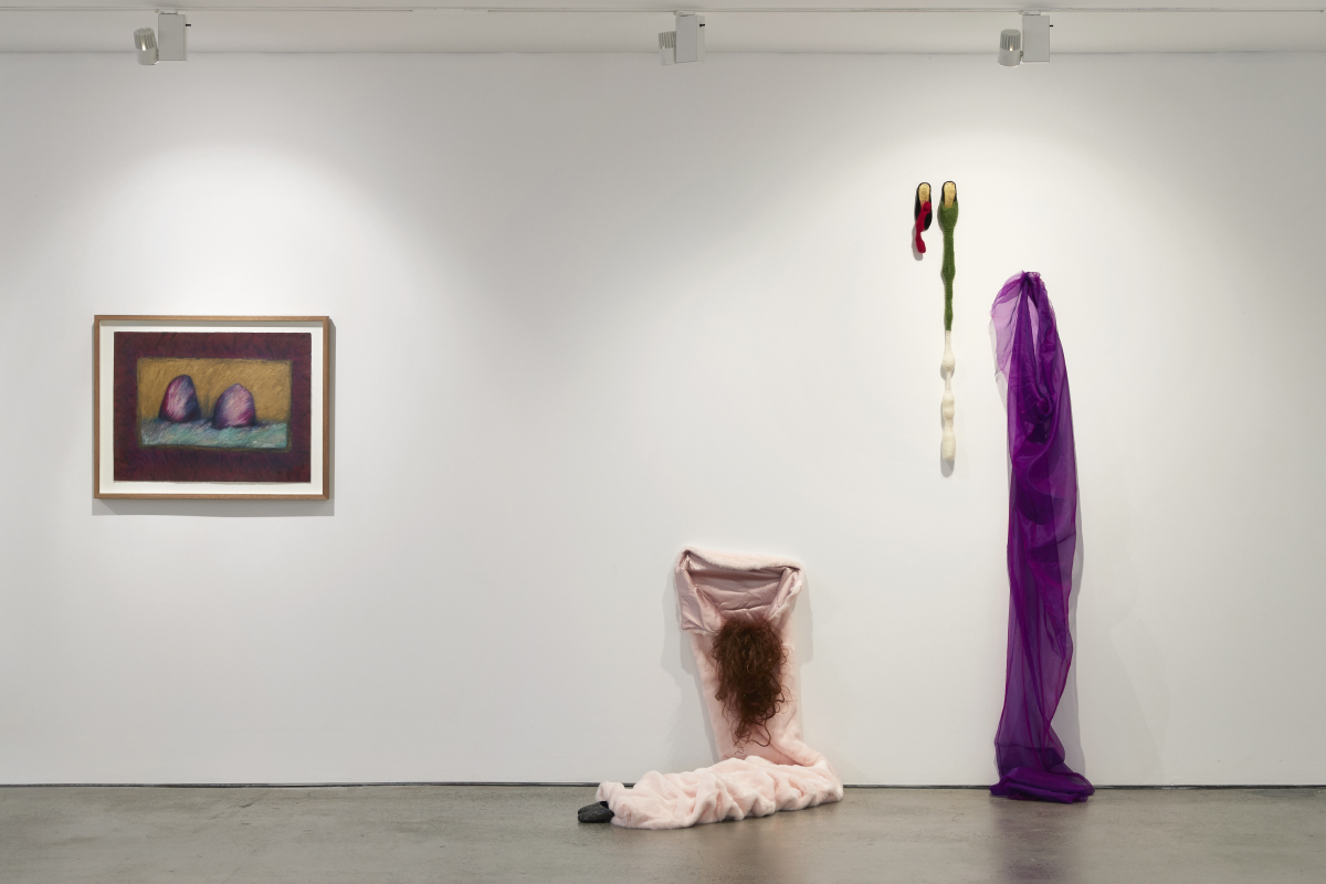 Installation view, Debra Porch