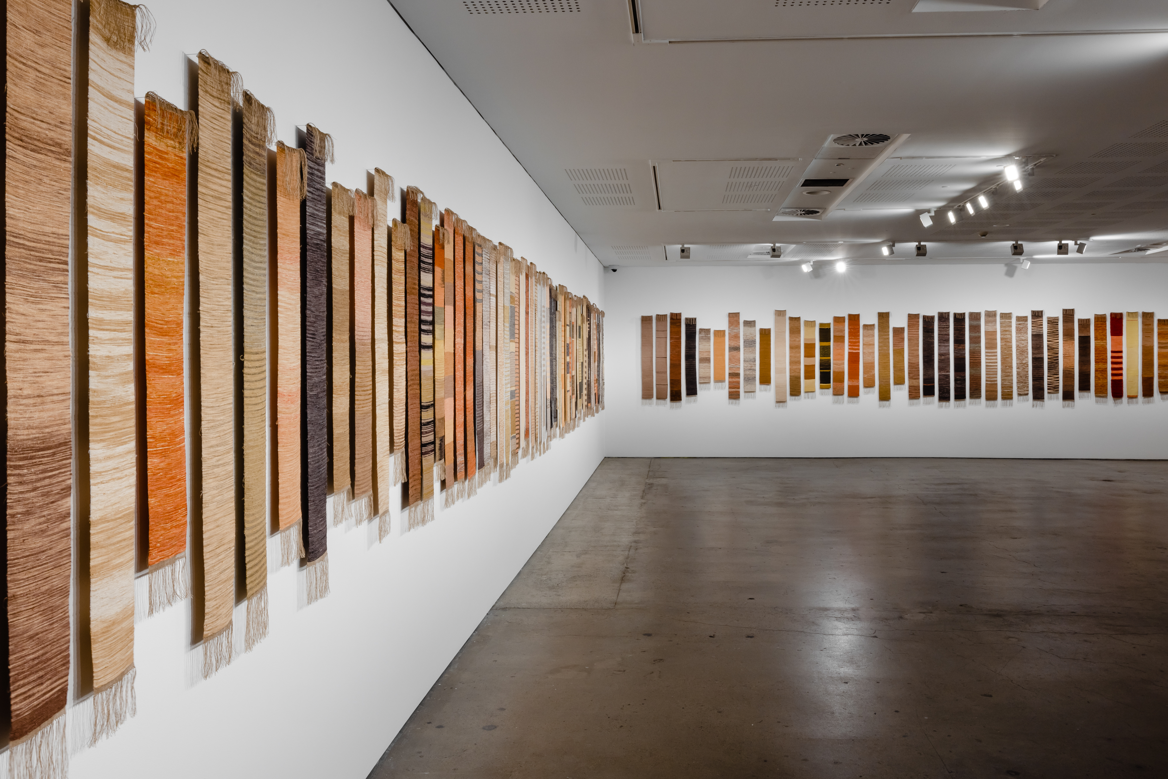 Installation Images: Installation view, ‘Liz Williamson: Weaving Eucalypts Project’, UNSW Galleries, 2022. Photography: Jacquie Manning.