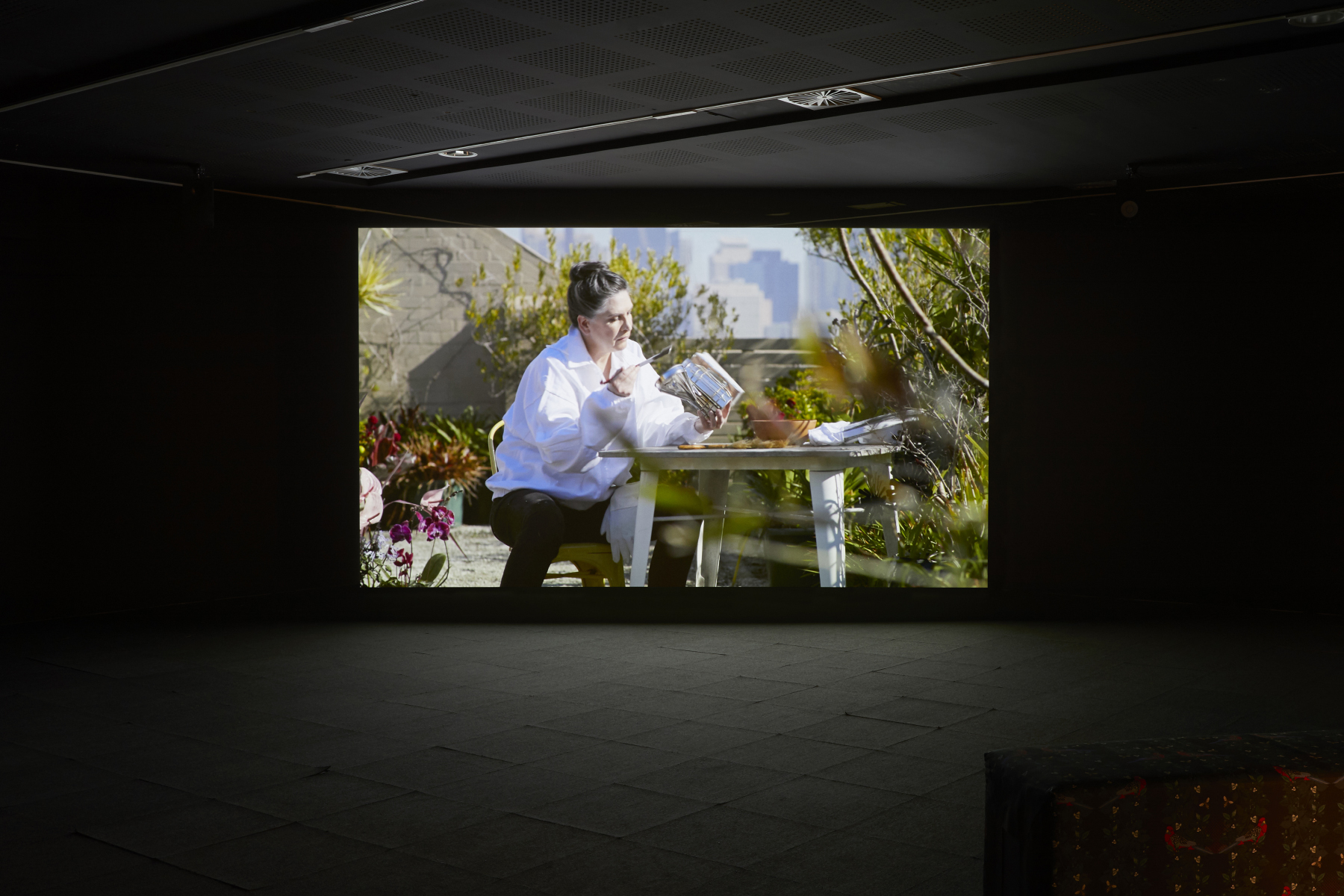 Zanny Begg, The Beehive 2018. Installation view, UNSW Galleries, 2019. Photograph: Maria Boyadgis 