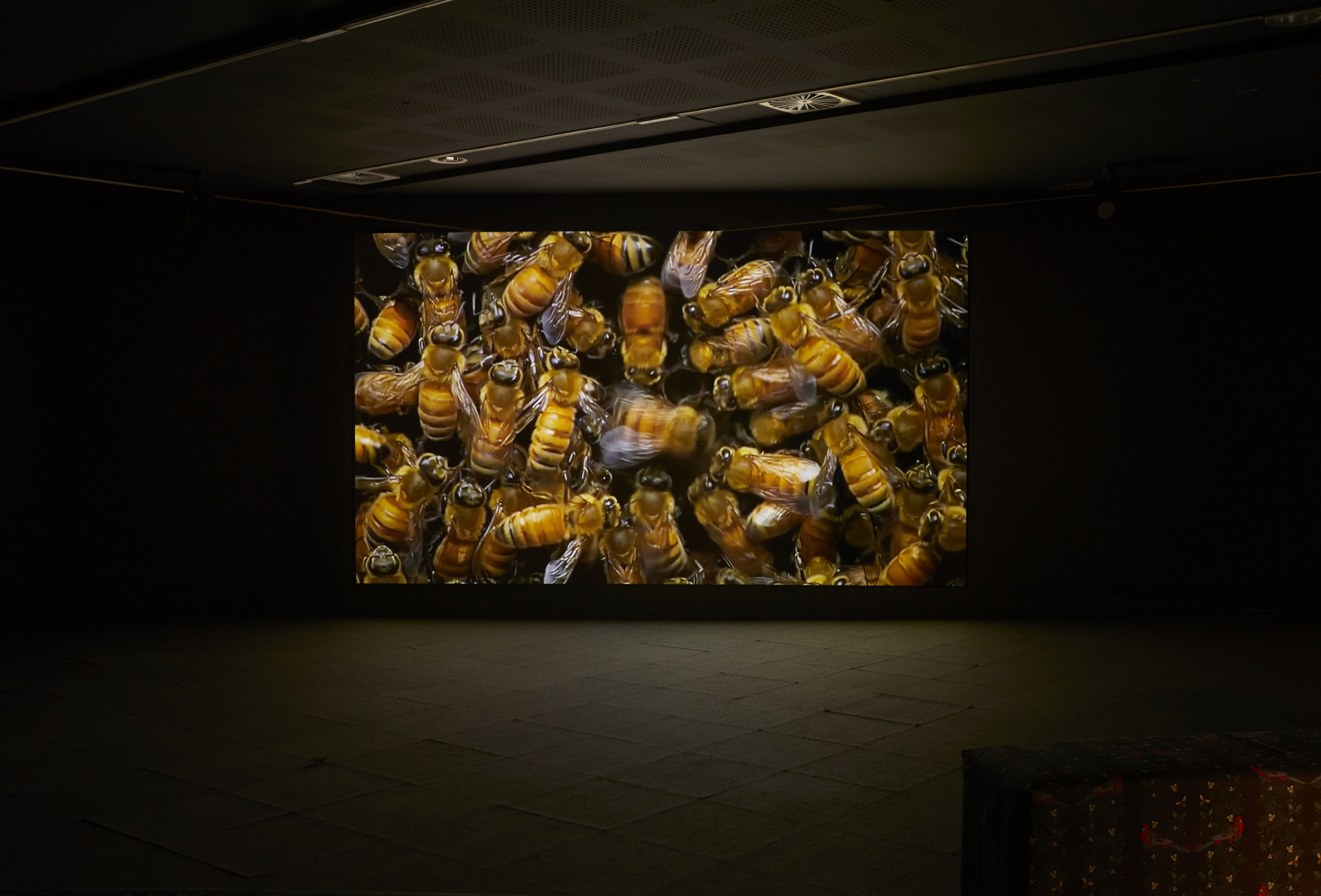 Zanny Begg, The Beehive 2018. Installation view, UNSW Galleries, 2019. Photograph: Maria Boyadgis 