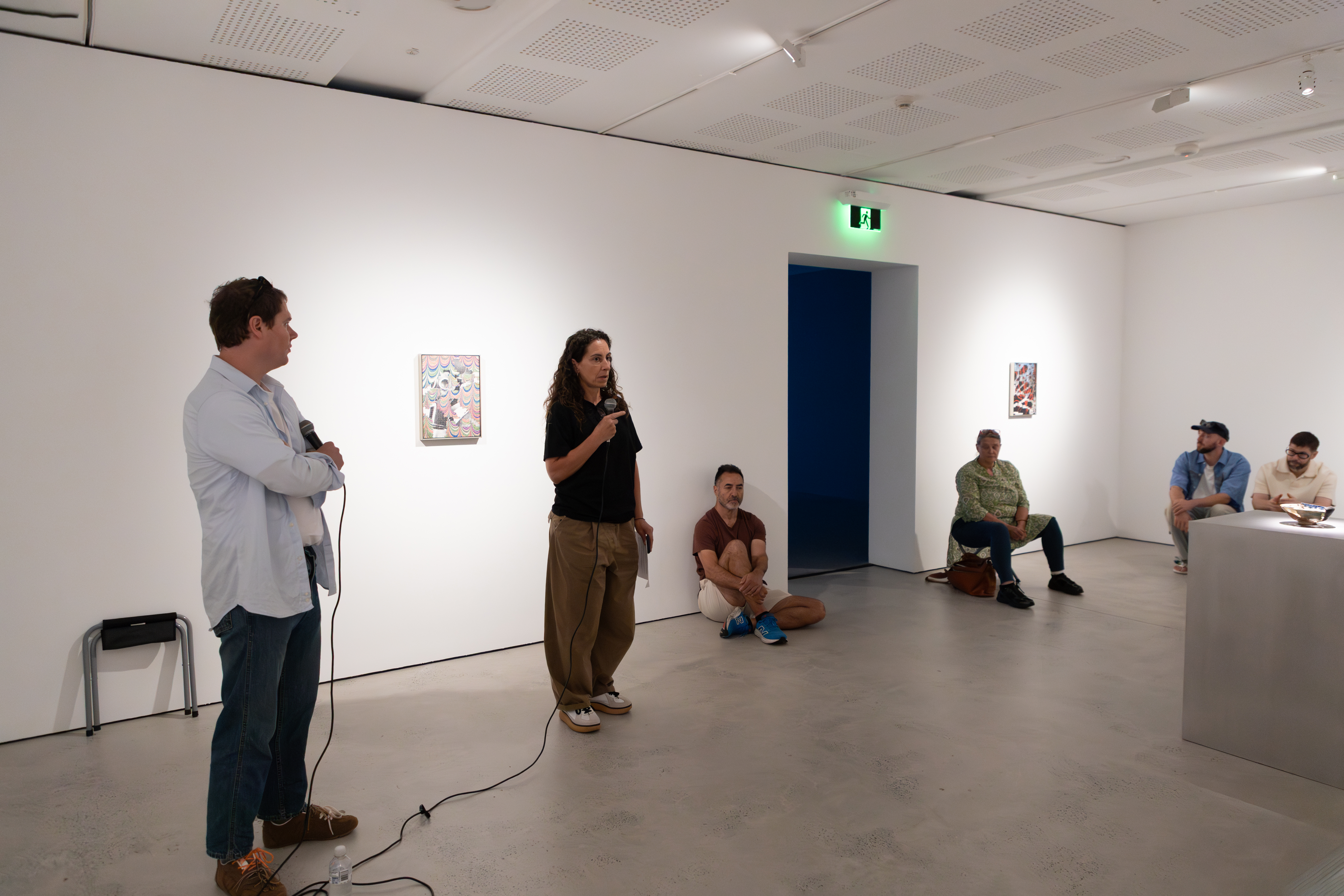 Public Program