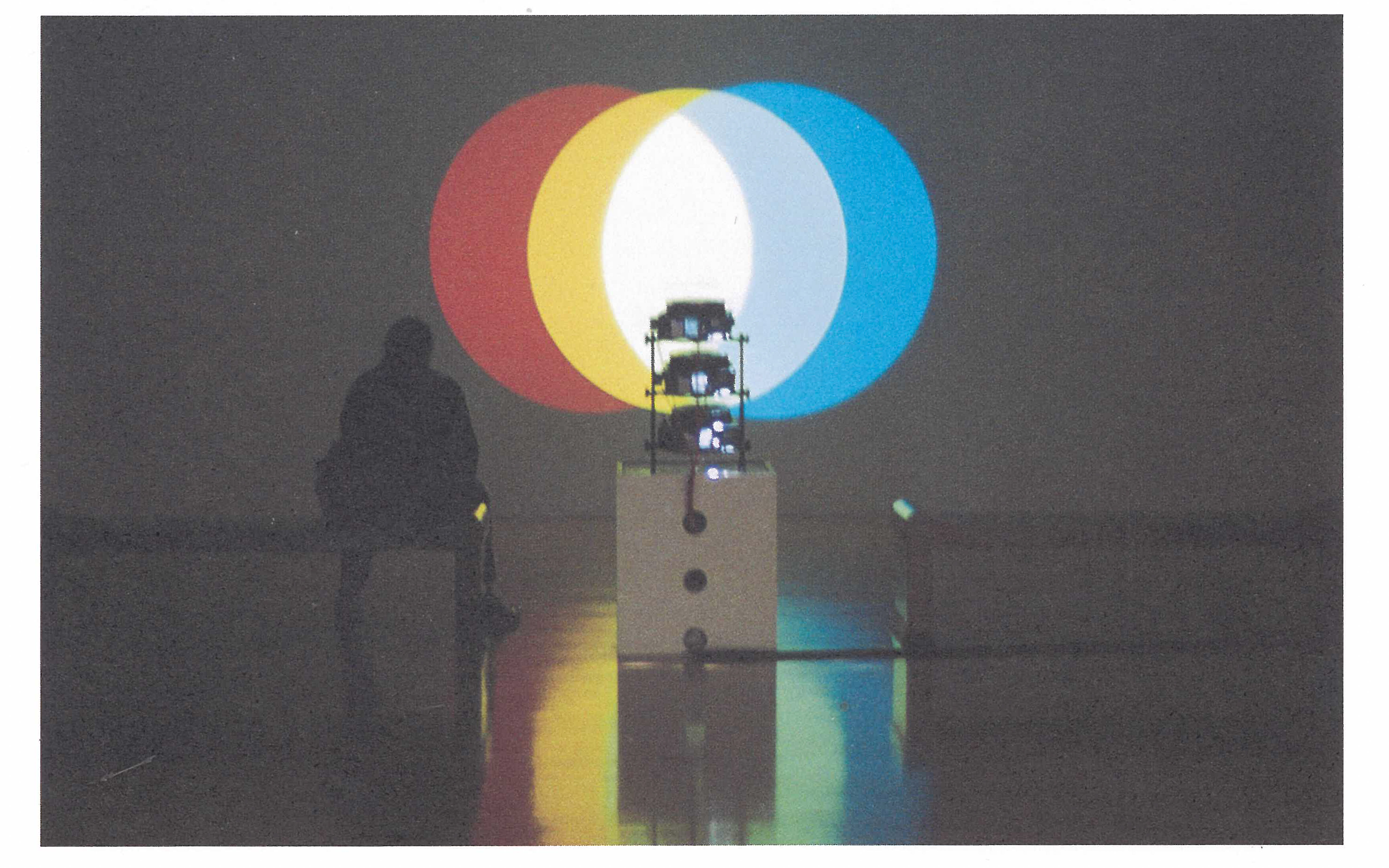 Image taken from an installation featuring a video work and someone in front viewing it