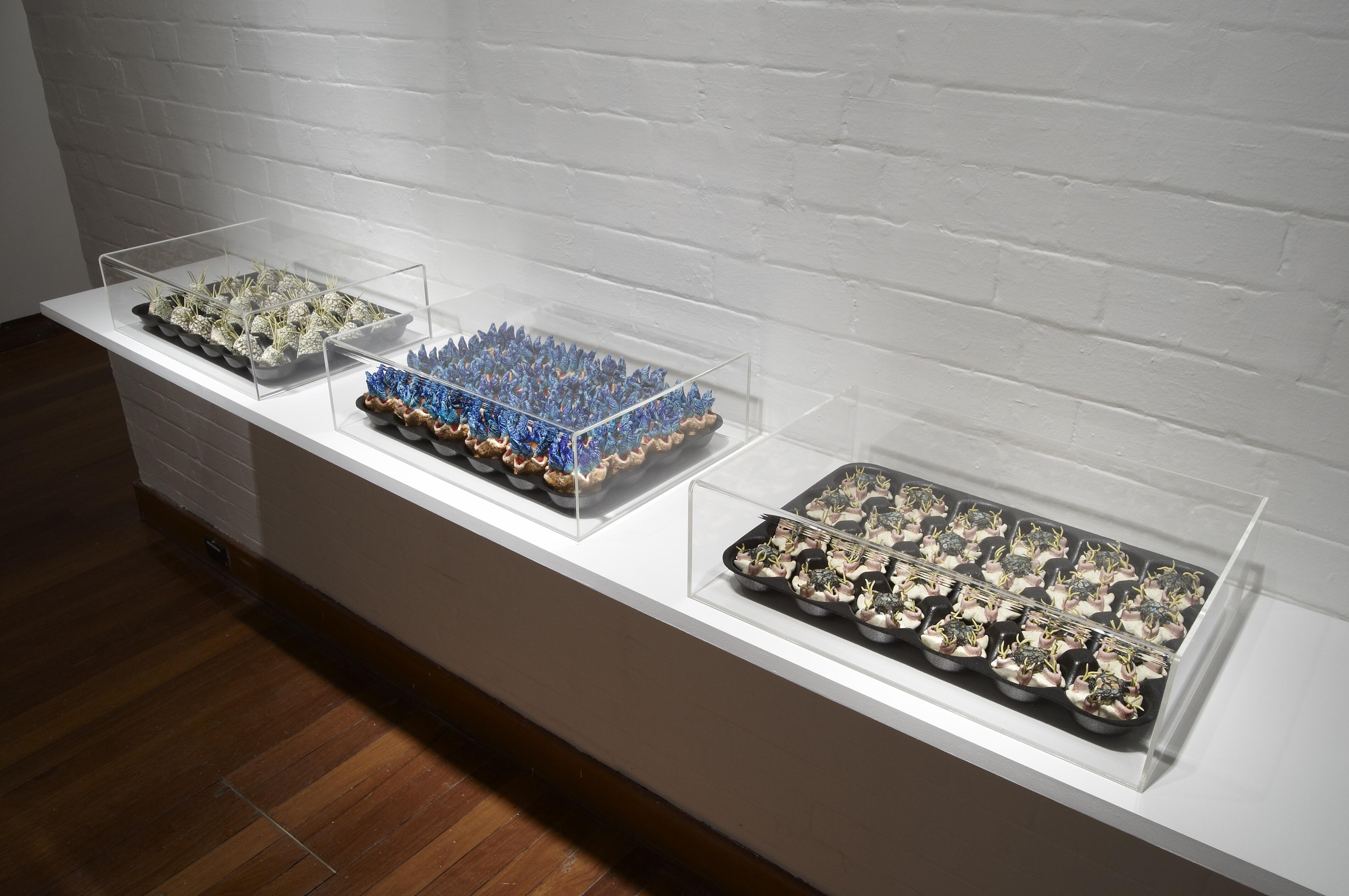 another_silk_road_idg13-07-0920_install.jpg