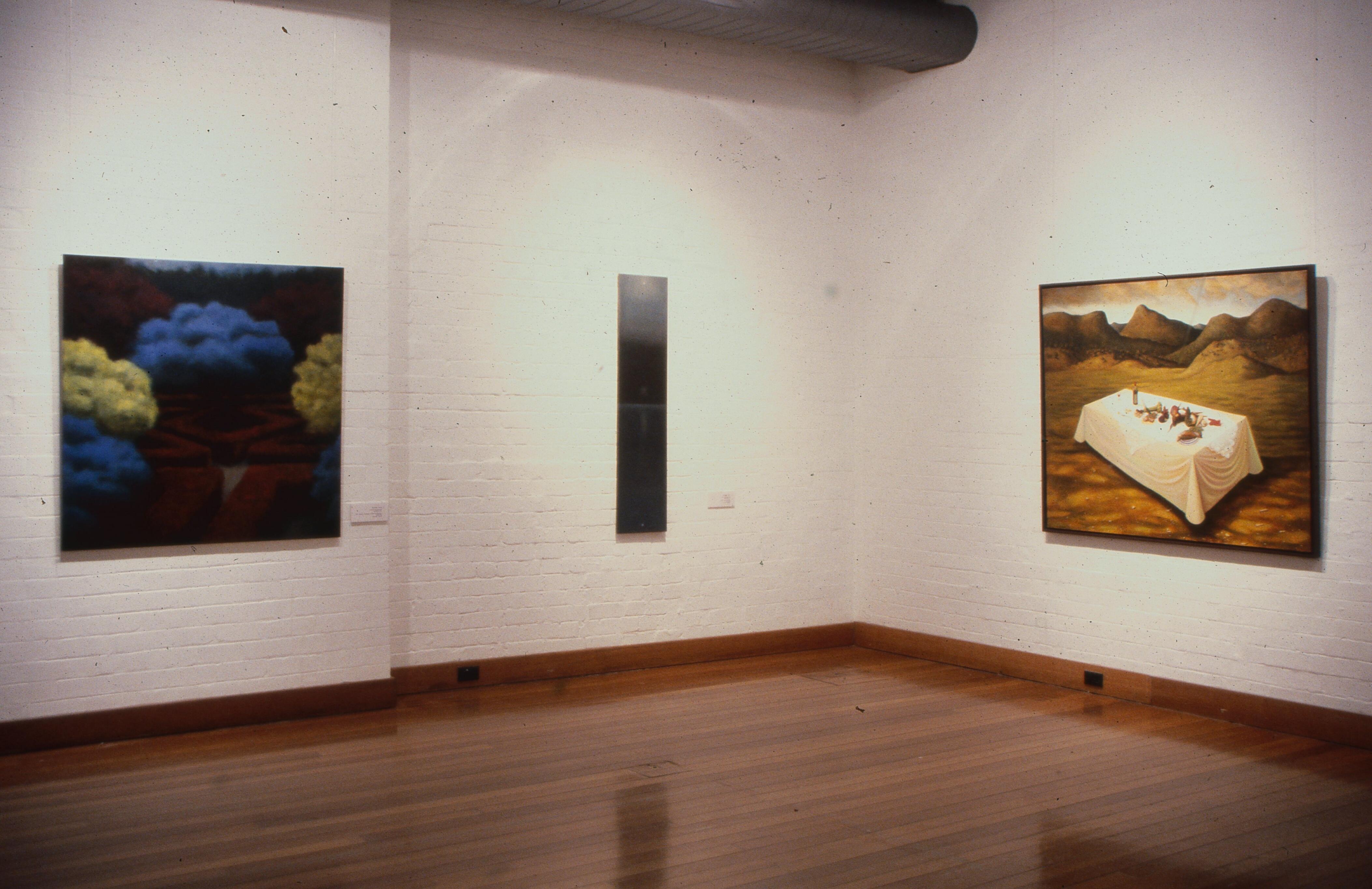 idg_archive_1996_brushing_the_dark_001_install.jpg