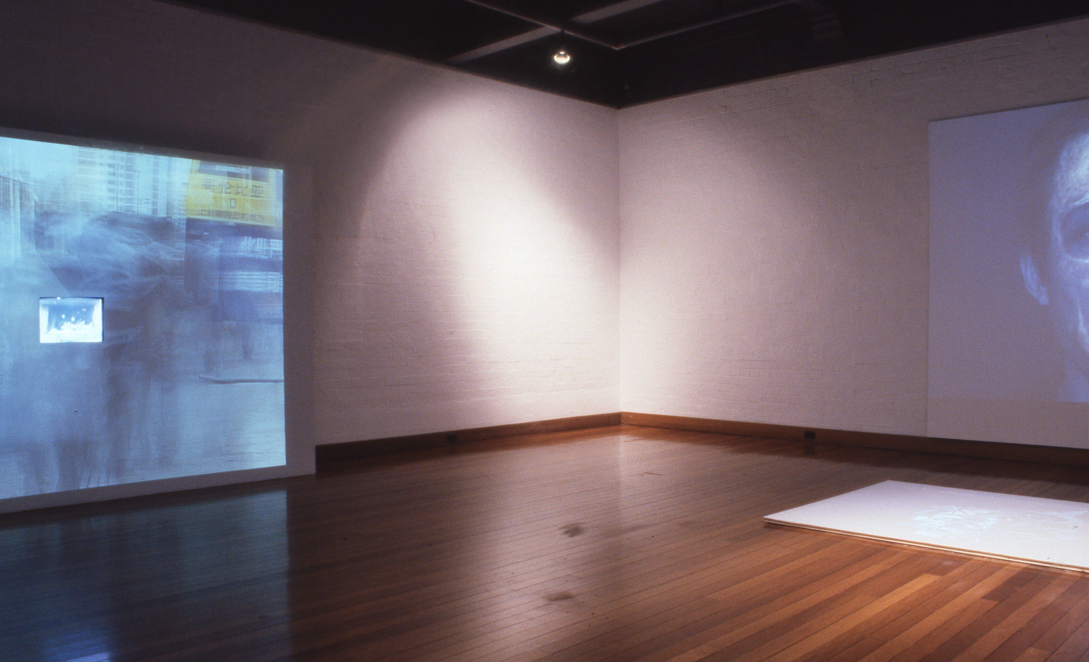 idg_archive_2002_compund_eyes_003_install.jpg