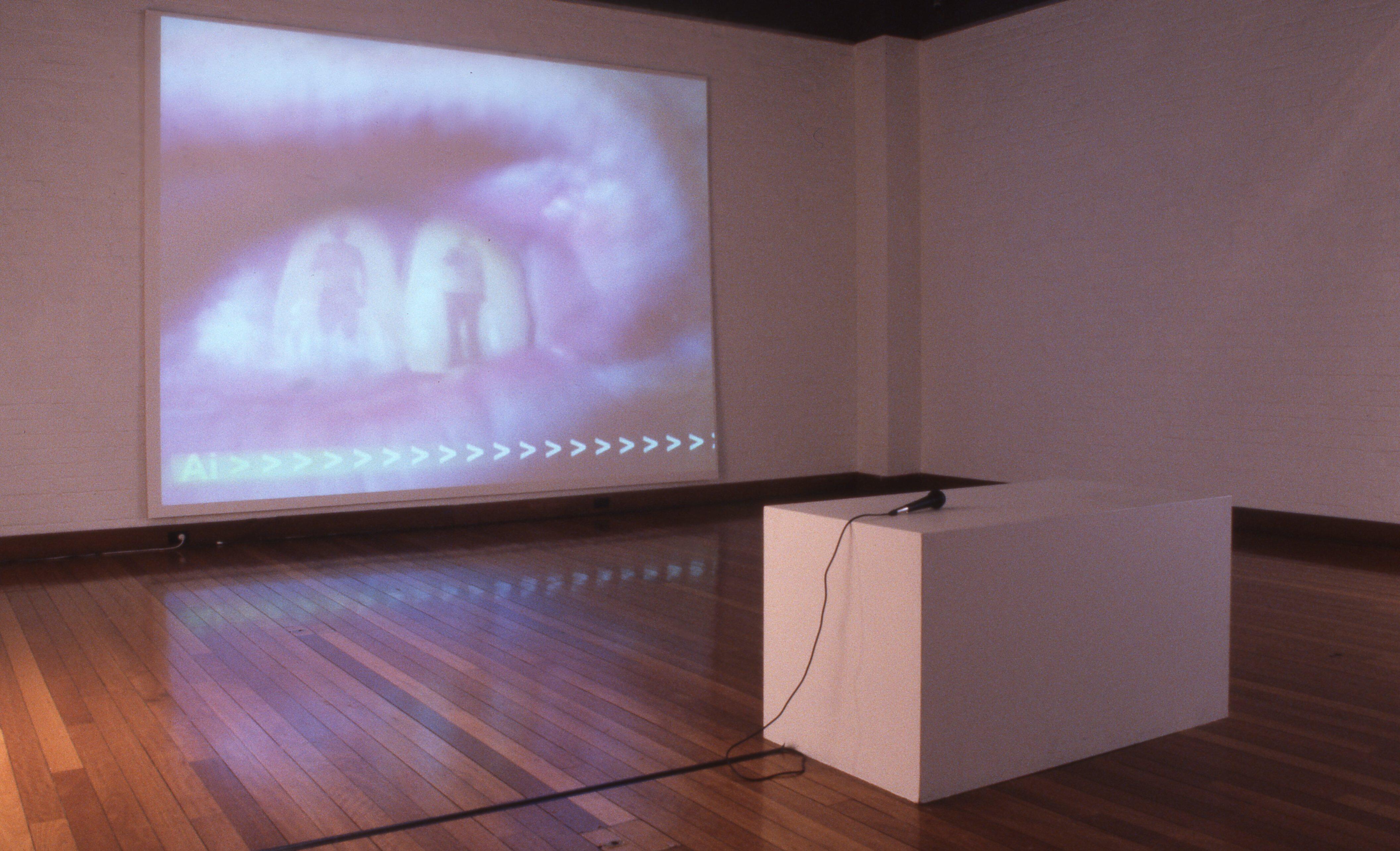 idg_archive_2002_compund_eyes_004_install.jpg