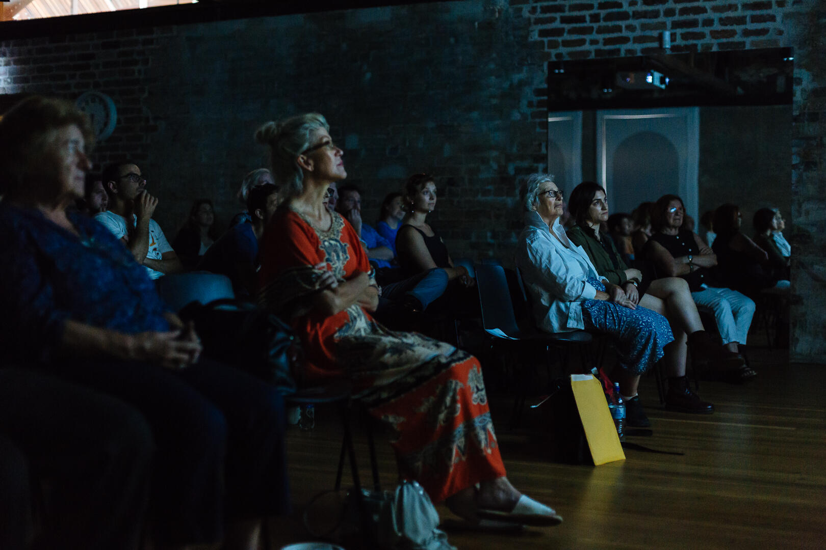 radical_sydney-_sirius_screening-jan_19-17.jpg