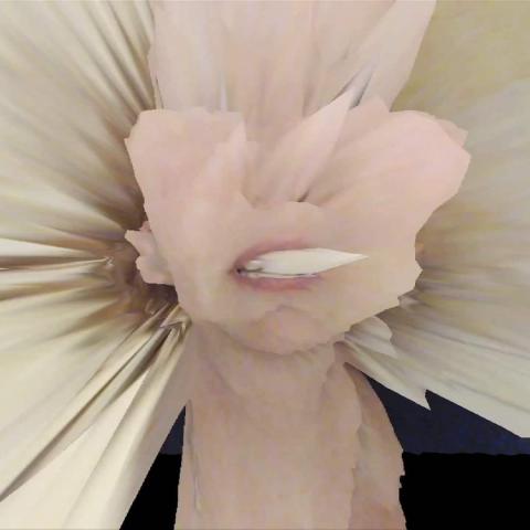 Jennifer Kanary Nikolova, Labyrinth Psychotica