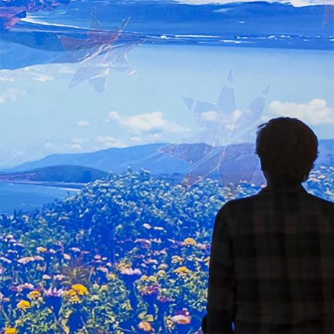 Program Image
