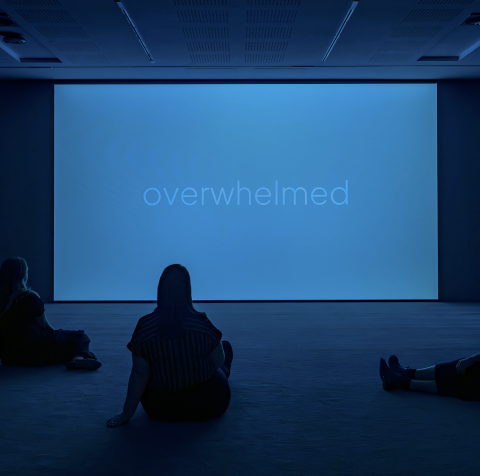 Grant Steven Installation view