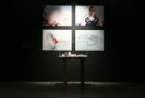 Susana Cámara Leret, Kindred Spirits 2013. Installation view, 'Feral Experimental: New Design Thinking', UNSW Galleries, 2014. Photograph: Britta Campion