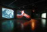 John McGhee, Flow 2009, and Brain Flow 2013. Installation view, 'Body Image', UNSW Galleries, 2014. Photograph: Britta Campion
