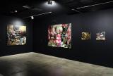 Installation view, David Eastwood, Voyeur 2016, False Wall 2016, Collage 2016 and Passage 2016.
