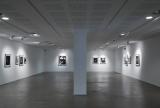 Installation view, Nicholas Aloisio-Shearer
