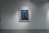 Installation view, Nicholas Aloisio-Shearer