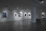Installation view, Nicholas Aloisio-Shearer