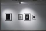 Installation view, Nicholas Aloisio-Shearer