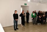 Exhibition Tour with Renee So and Charlotte Day for 'Renee So: Provenance' at UNSW Galleries, 2023.