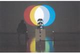 Image taken from an installation featuring a video work and someone in front viewing it