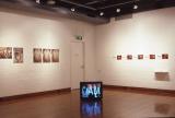 Installation featuring multiple photographic prints, arranged directly on the wall in a structured layout.
