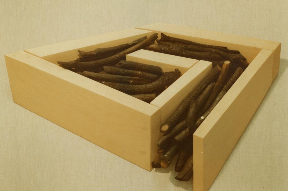 Image of wooden box arranged in a maze containing tree branches 